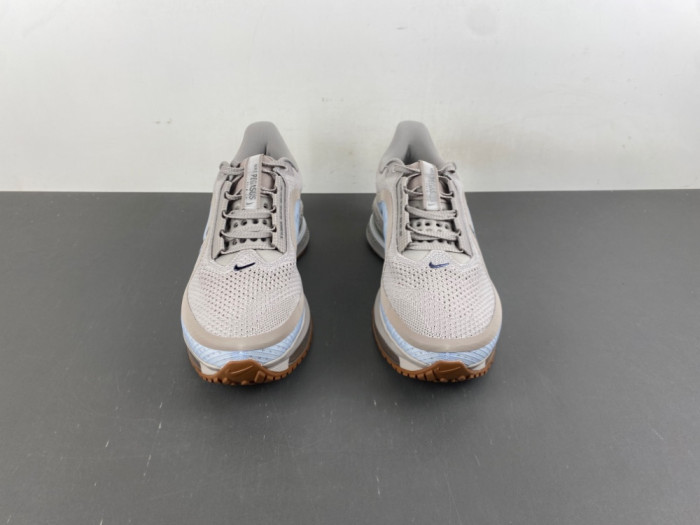 Air Zoom Pegasus Premium 