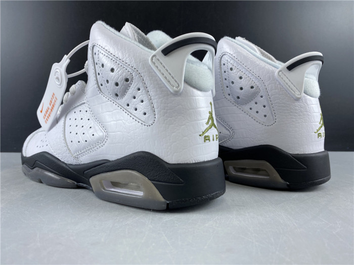 AIR JORDAN 6 GS ALLIGATOR 384665-110