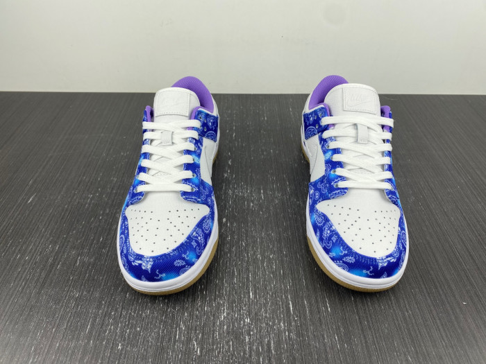 Nike SB Dunk Low Retro SP “