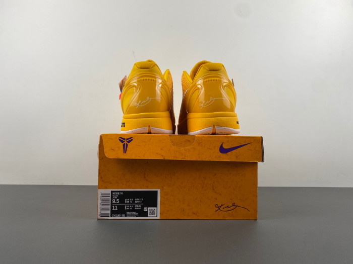 Nike Kobe 6 Protro