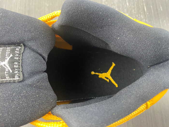 Air Jordan 11 0000