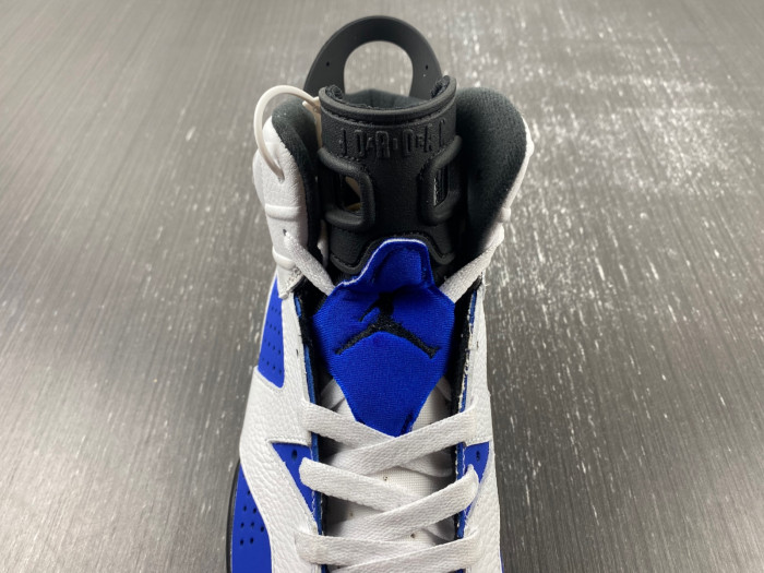 Air Jordan 6