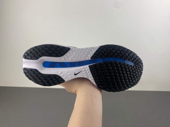 Nike Pegasus Premium 