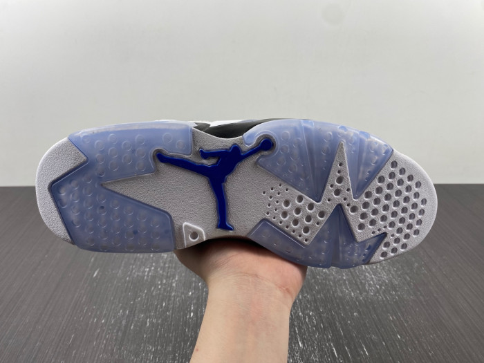 Air Jordan 6