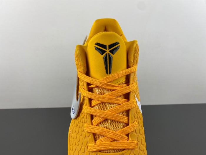 Nike Kobe 6 Protro