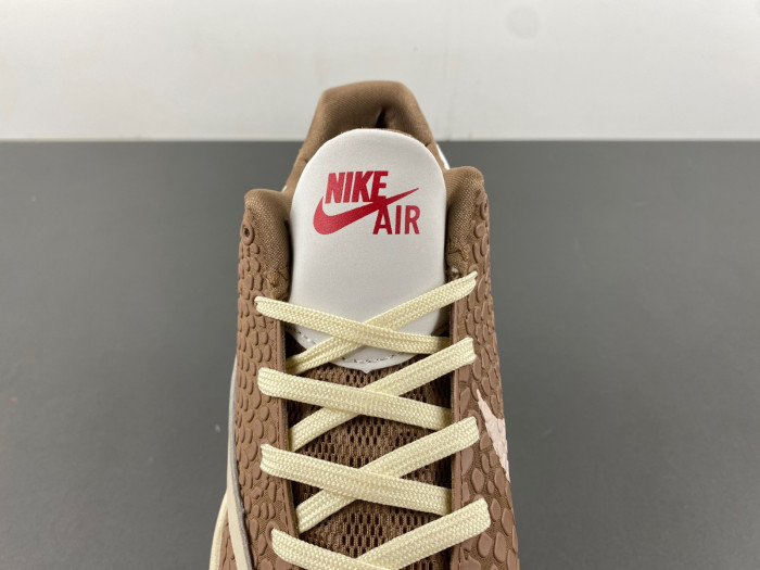 Nike Kobe 6 Protro