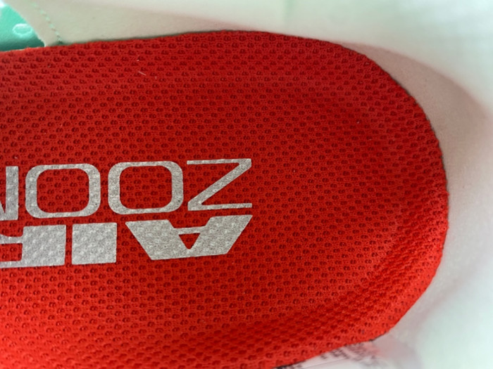 Nike Pegasus Premium 