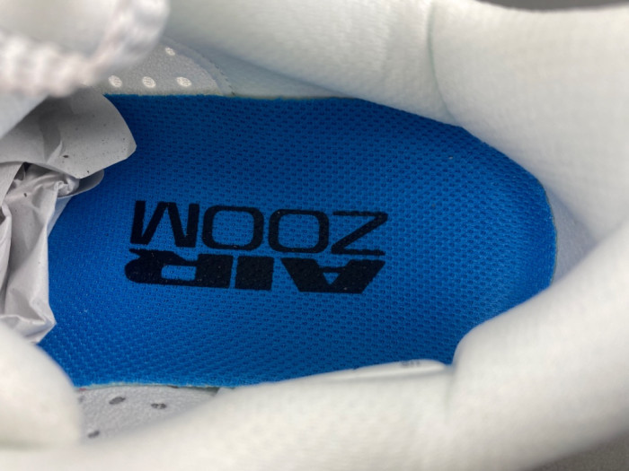 Nike Pegasus Premium 