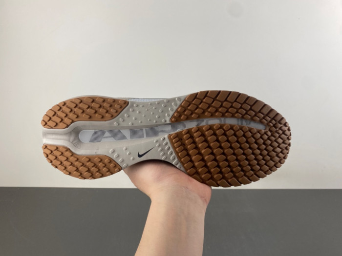 Air Zoom Pegasus Premium 