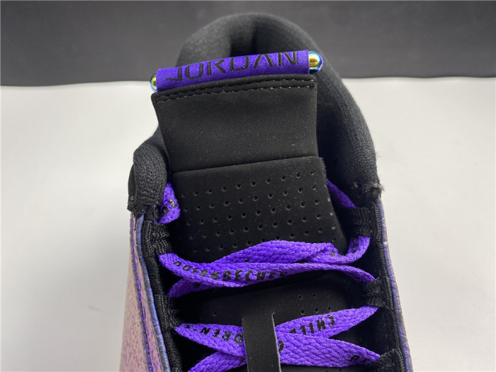 Air Jordan 14 Retro Doernbecher CV2469-001