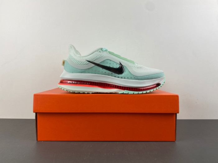 Nike Pegasus Premium 