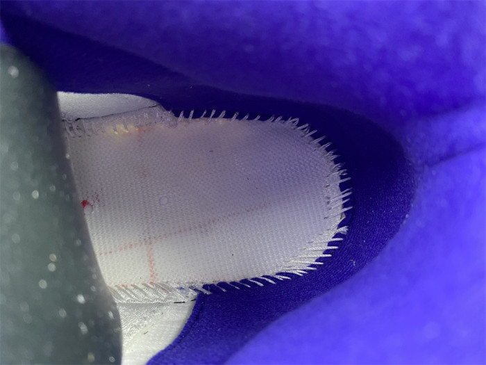 AIR JORDAN5 CONCORD