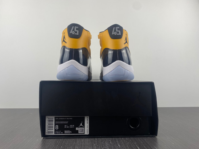Air Jordan 11 0000