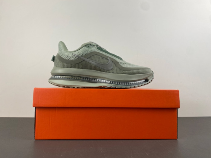 Nike Pegasus Premium 