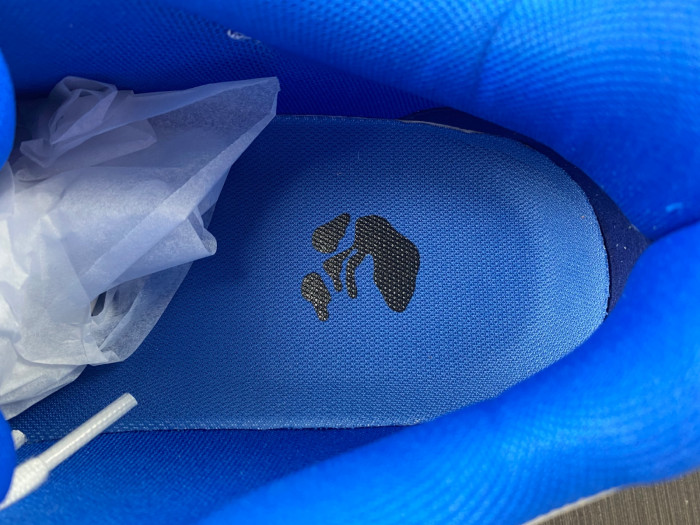 OFW SNEAKER