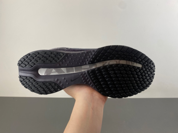 Nike Pegasus Premium SE 