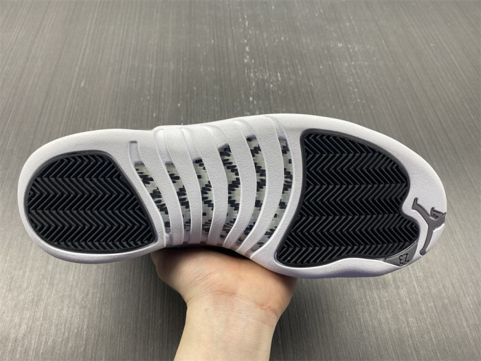 Air Jordan 12 CT8025-610