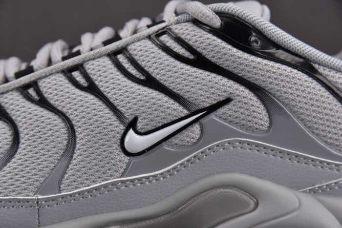 Air Max Plus TN 