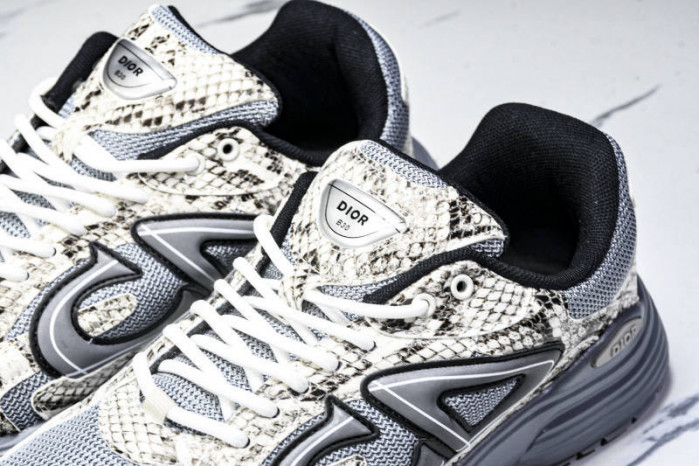 DIOR B30 SNEAKERS B30-000110