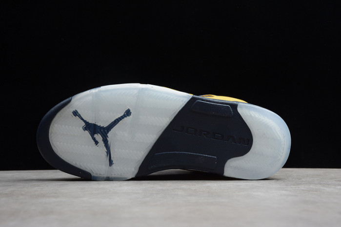 Air Jordan 5 Retro SP