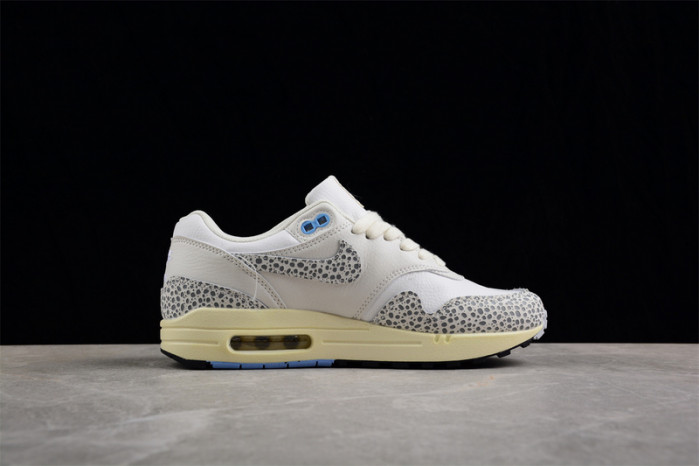 Nike Air Max 1