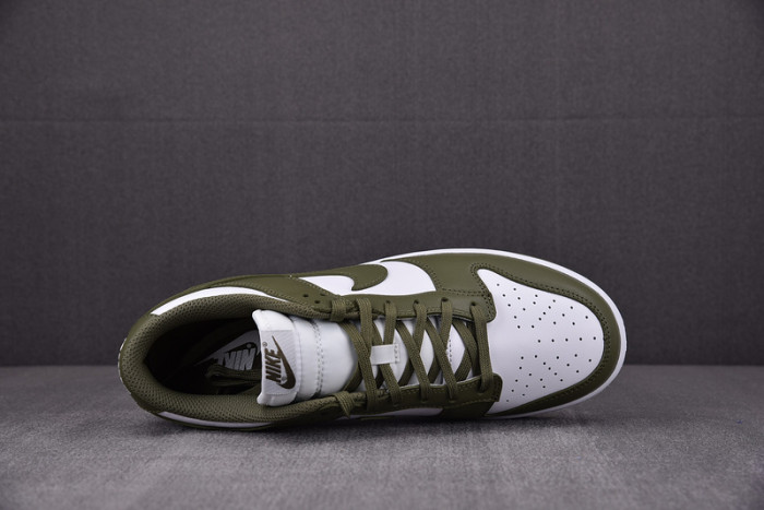 Nike Dunk Low Medium Olive (W) DD1503-120