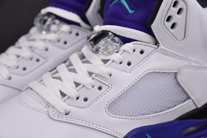 Air Jordan 5 Retro 