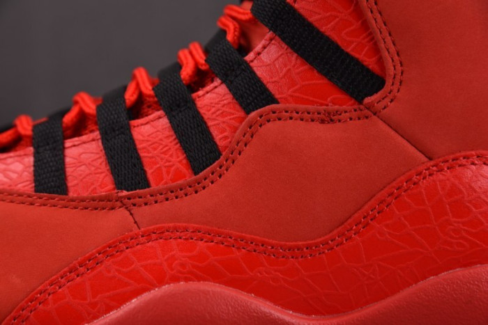 Steve Wiebe X Jordan 10 Retro 