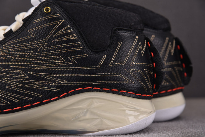 Titan x Air Jordan 23 Retro SP
