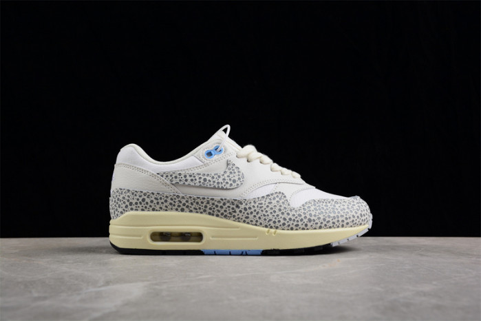 Nike Air Max 1