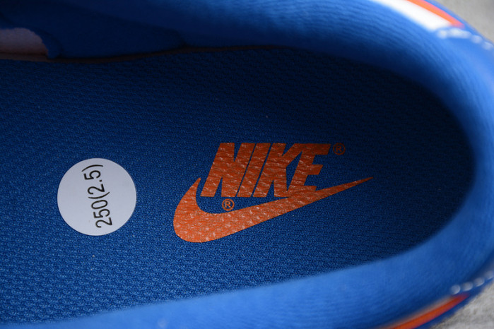 DUNK LOW PRO SB