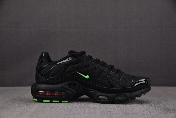 Nike Air Max Plus 