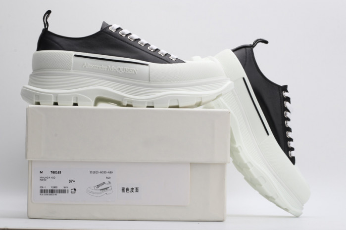 ALEXANDER MCQ67