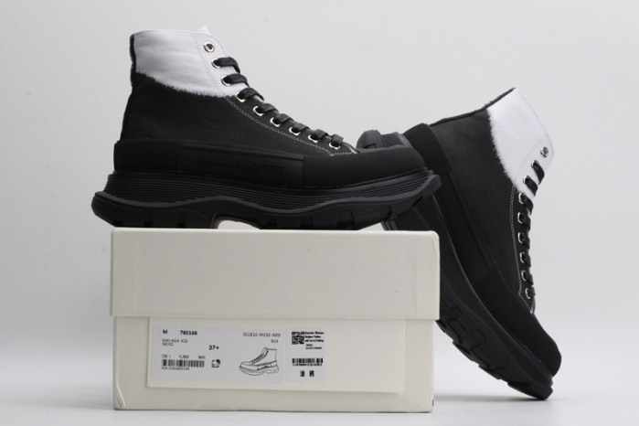 ALEXANDER MCQ93