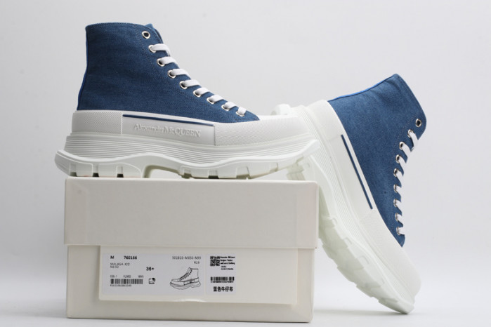 ALEXANDER MCQ95