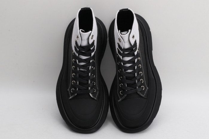 ALEXANDER MCQ93