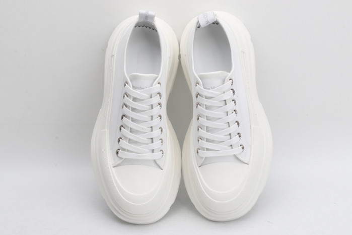 ALEXANDER MCQ66