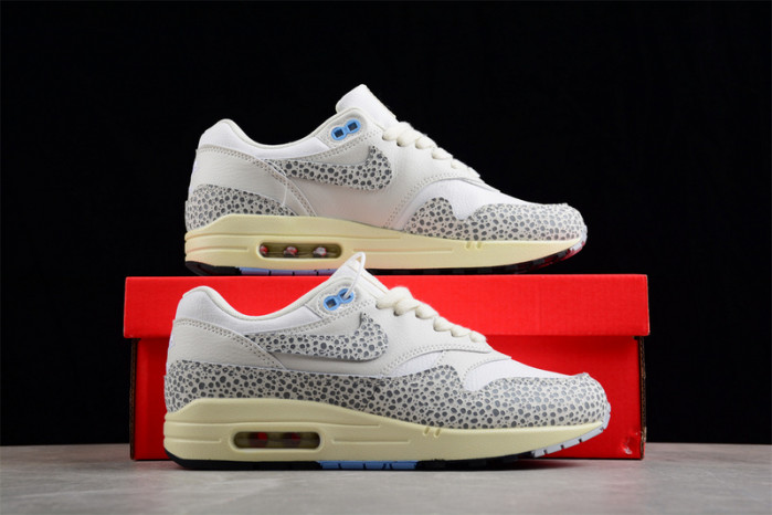 Nike Air Max 1