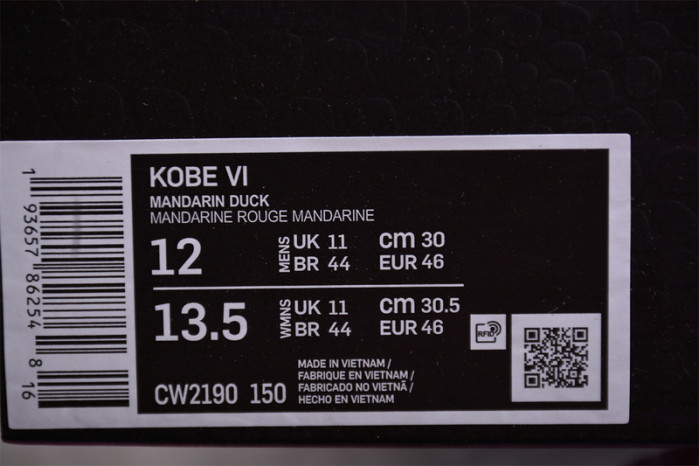 Nike Kobe 6 Protro