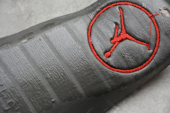 Air Jordan 6