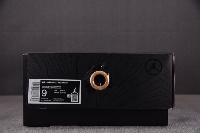 Titan x Air Jordan 23 Retro SP
