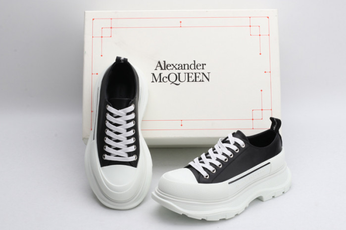 ALEXANDER MCQ67