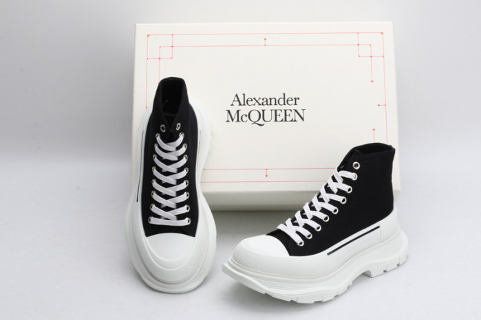 ALEXANDER MCQ85