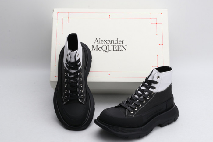 ALEXANDER MCQ93
