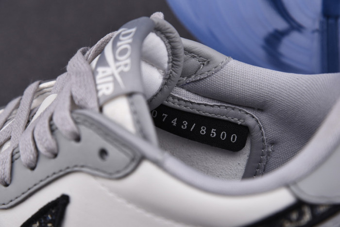 air jordan 1 retro low D*or × D*or cn8608-002