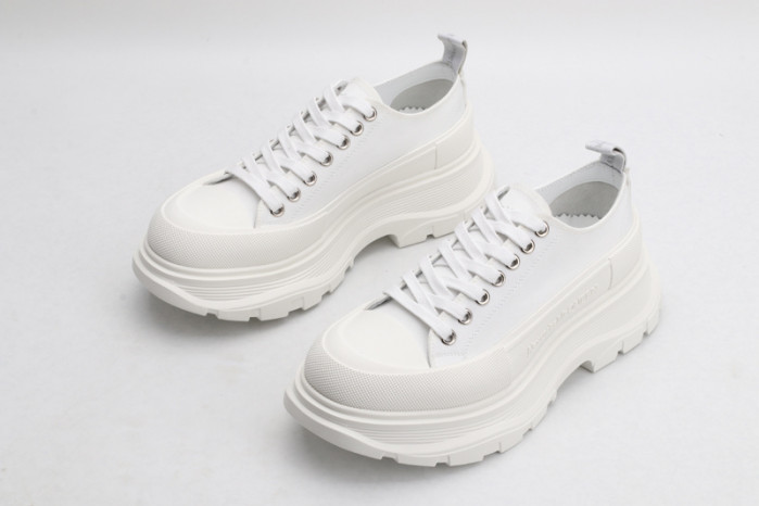 ALEXANDER MCQ66