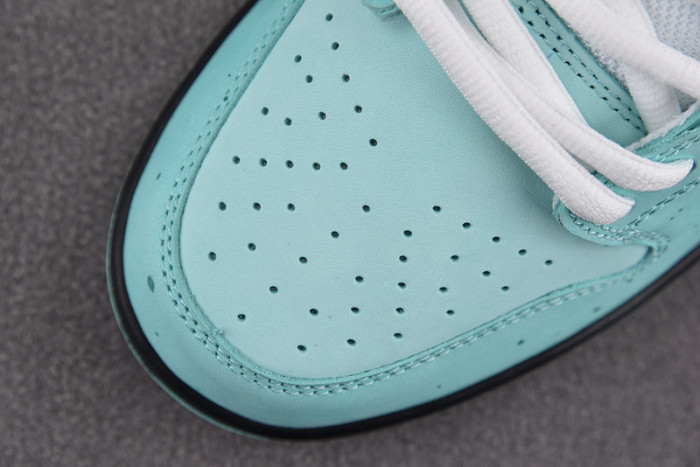 T*f*ny & co. x nike dunk low bv1310-402