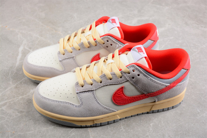 Nike Air Dunk 85 Athletic Department FJ5429-133