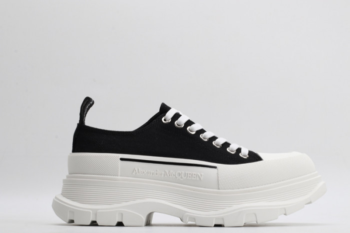 ALEXANDER MCQ65