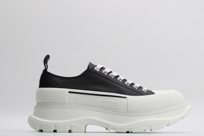 ALEXANDER MCQ67